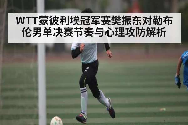 WTT蒙彼利埃冠军赛樊振东对勒布伦男单决赛节奏与心理攻防解析